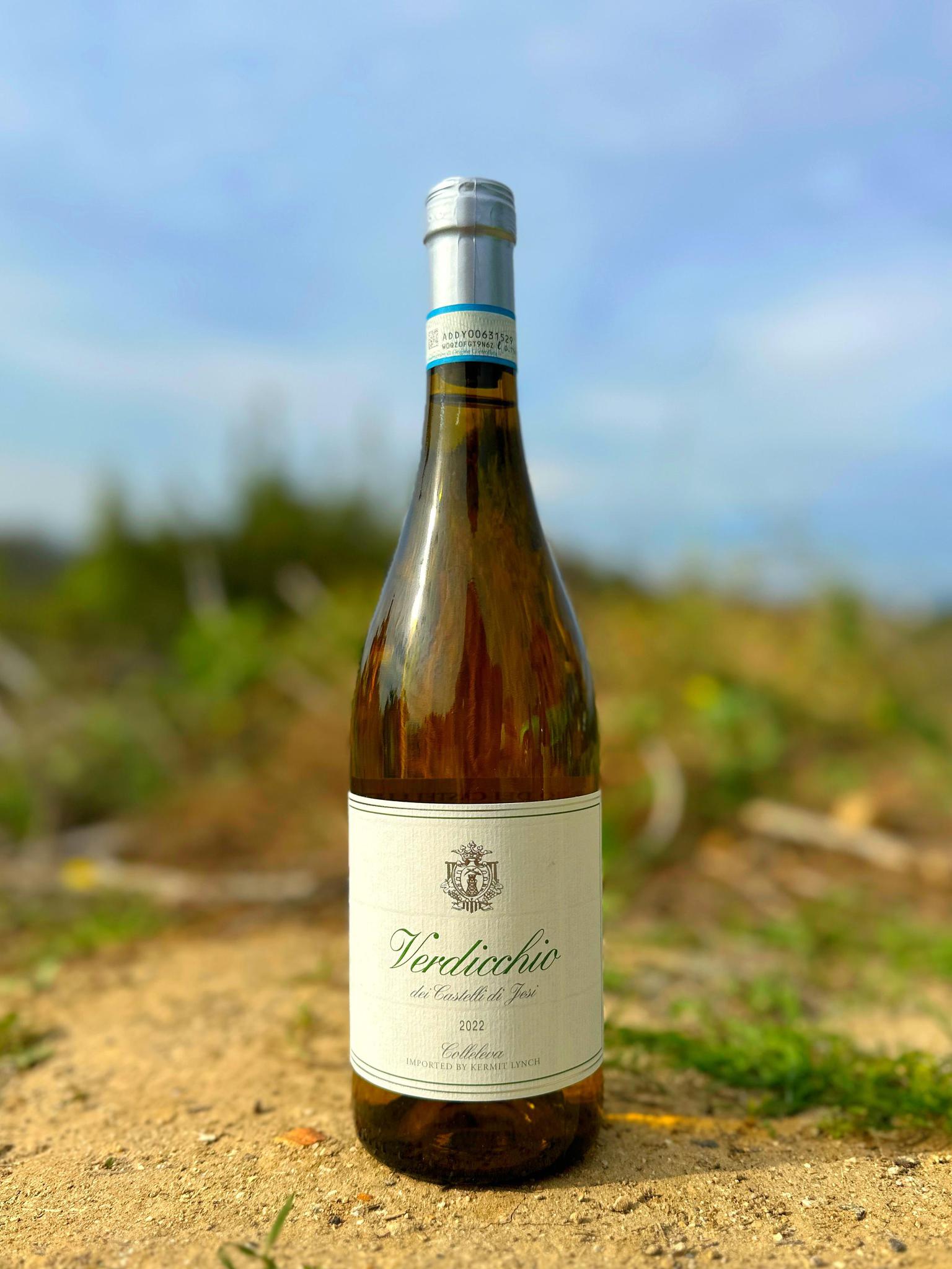 Verdicchio deals